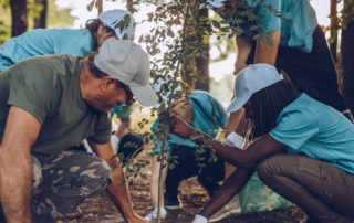 A group of people planting a tree together