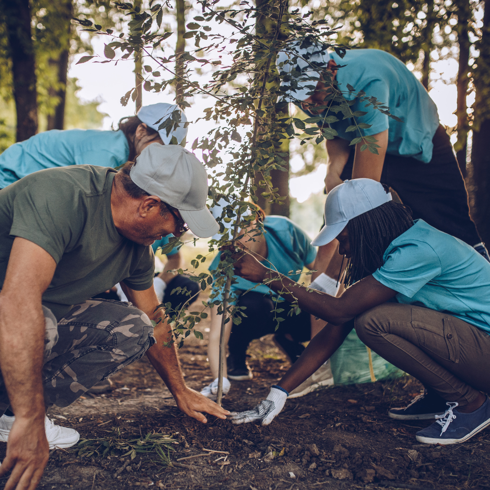 A group of people planting a tree together